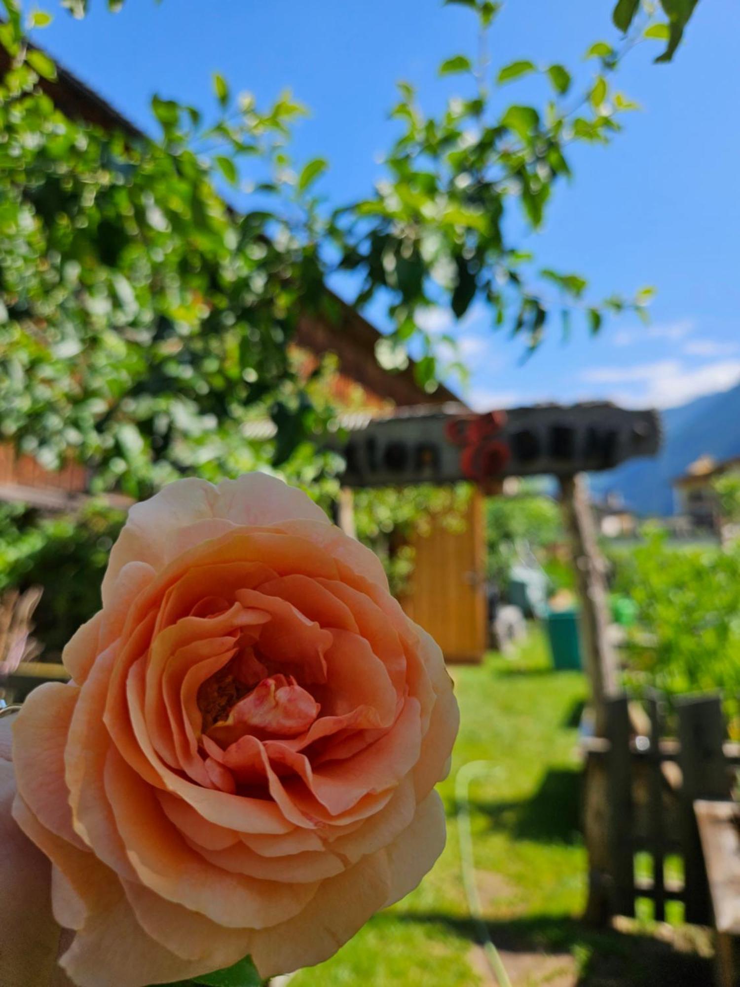 Hotel Edenlehen Mayrhofen Exterior foto